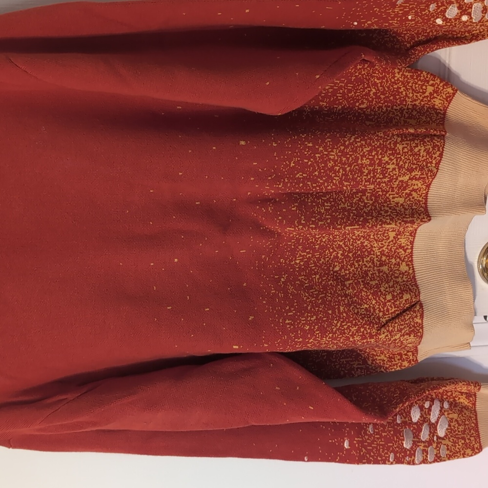 morningwitch embroidered Amanita sweater - Picture 4 of 4